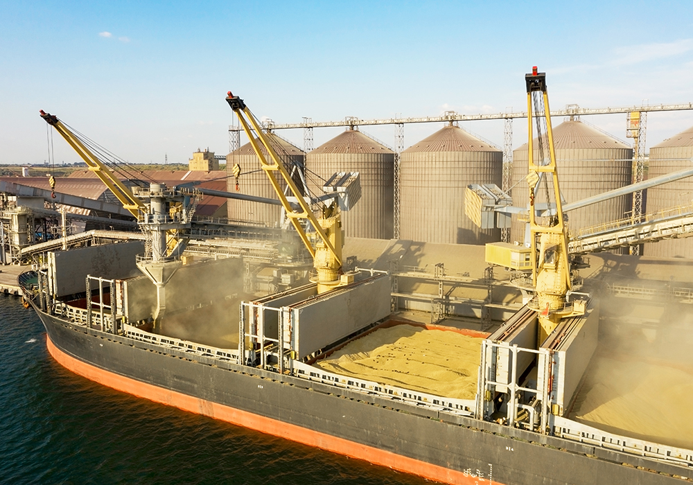 Loading grain into holds of sea cargo vessel through an automatic line in seaport from silos of grain storage. Bunkering of dry cargo ship with grain The war had caused shipping costs to soar to US$160 to $180 per tonne from pre-war levels of $35 to $40 per tonne, said Mykola Gorbachov, president of the Ukrainian Grain Association. Farmers are getting $280 to $290 per tonne for their barley, leaving a slim return of around $100 per tonne after paying transportation costs. | Getty Images